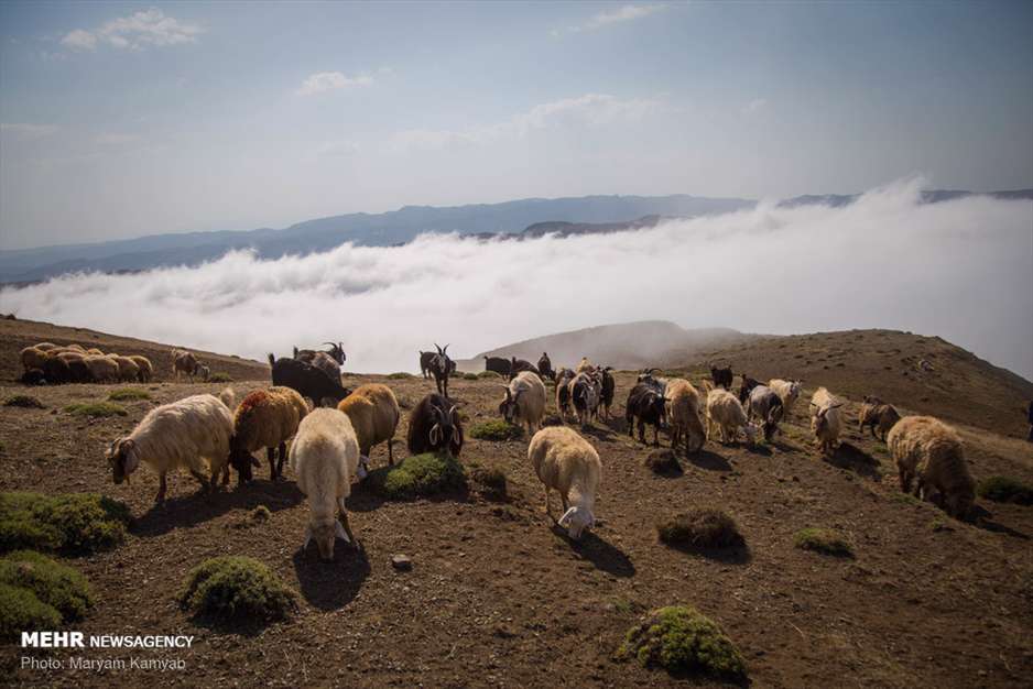 زندگی عشایر کرمانج خلخال