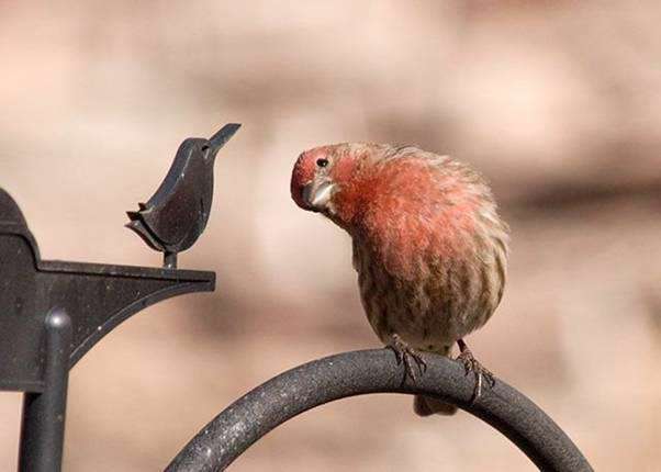 این چیزها را از دیگران توقع نداشته باشيد این چیزها را از دیگران توقع نداشته باشيد