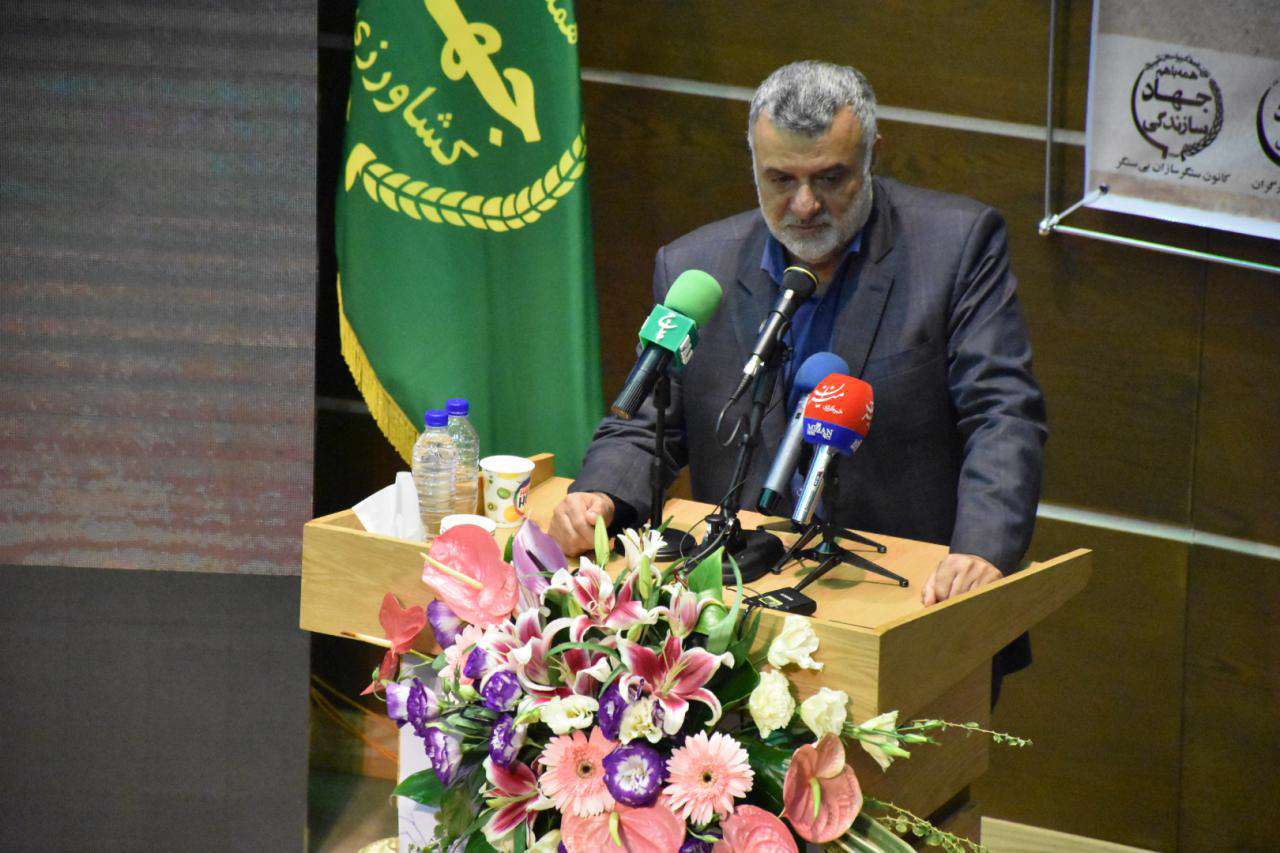 محمود حجتی
