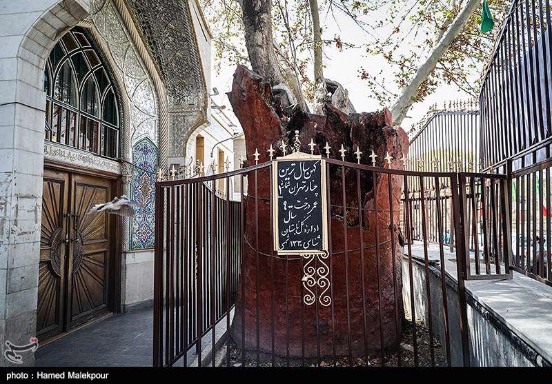 روز تهران