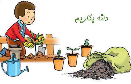 دانه بکاریم