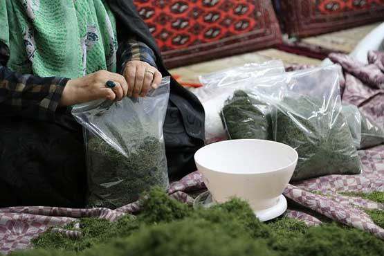 مشاغل خانگی