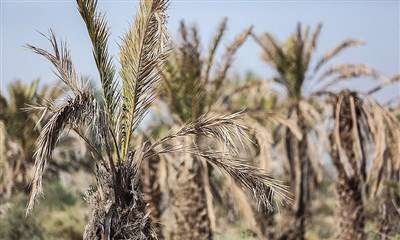 رودبار؛ بدون رود بدون آب 