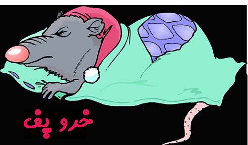 خر و پف