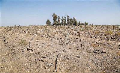 رودبار؛ بدون رود بدون آب 