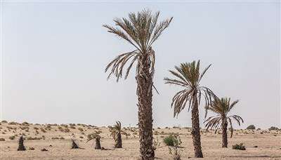 رودبار؛ بدون رود بدون آب 