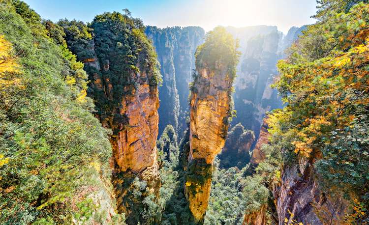 «آواتار»؛ جنگلی شناور و اعجاب انگیز در آسمان 