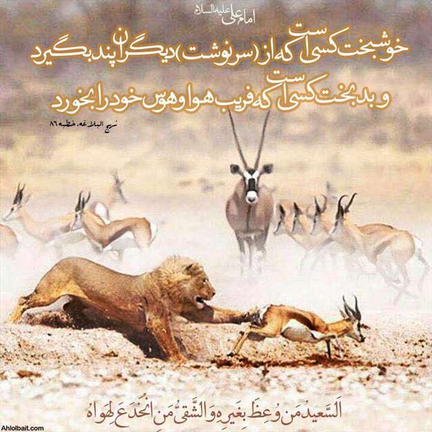 حدیثی از امام علی در مورد خوشبختی