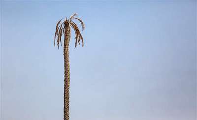 رودبار؛ بدون رود بدون آب 