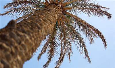 رودبار؛ بدون رود بدون آب 