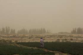 طوفان، گرد و غبار و کاهش دید در زابل