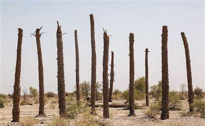 رودبار؛ بدون رود بدون آب 