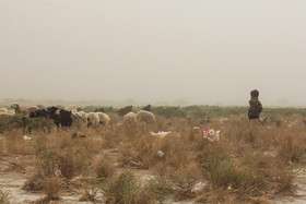 طوفان، گرد و غبار و کاهش دید در زابل