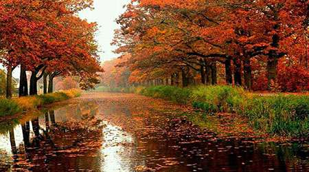 محصولات مذهبی اثری از جلال بای محصولات مذهبی اثری از جلال بای