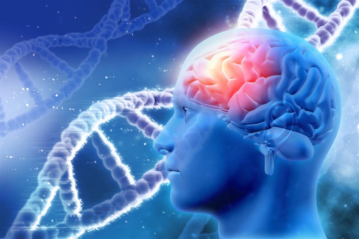 آیا ژنتیک در احتمال ابتلا به آلزایمر نقش دارد؟