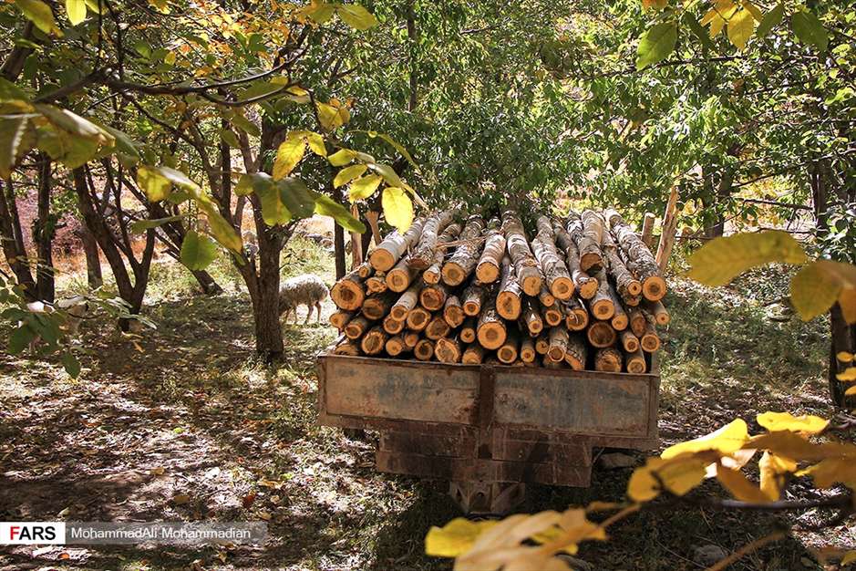 طبیعت پاییزی «بردسیر» کرمان