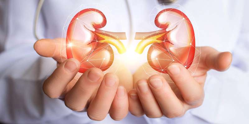 دیابت و فشار خون علت اصلی بیماریهای کلیوی دیابت و فشار خون علت اصلی بیماریهای کلیوی
