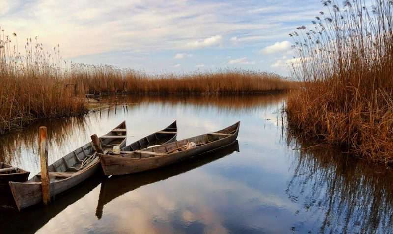 بندرکیاشهر