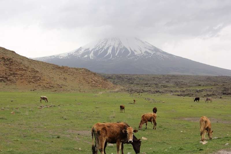 طبیعت بورالان طبیعت بورالان