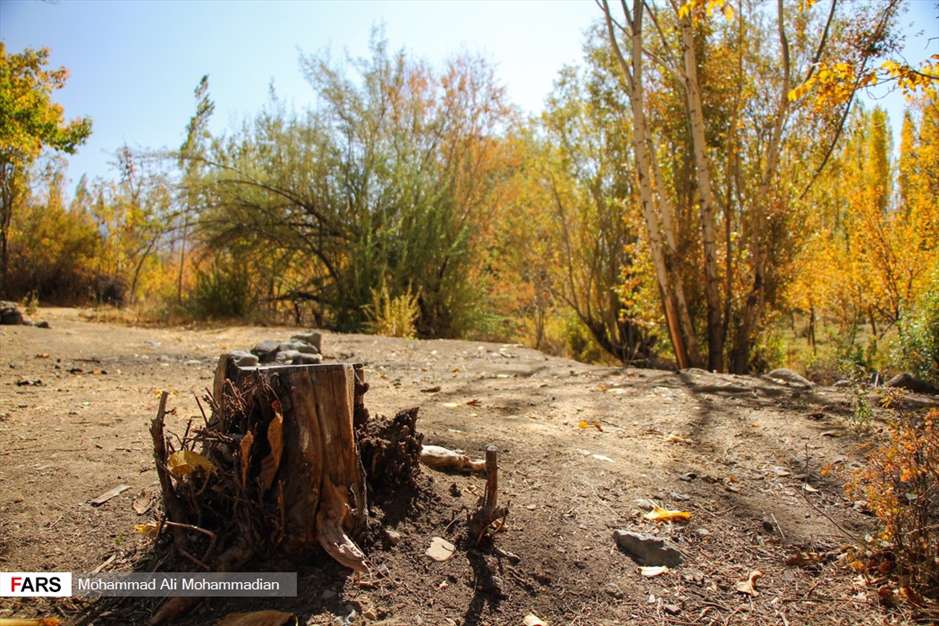 طبیعت پاییزی «بردسیر» کرمان