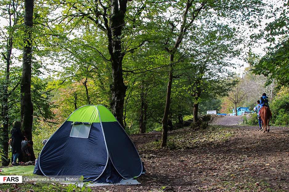 مرداب هَسَل 