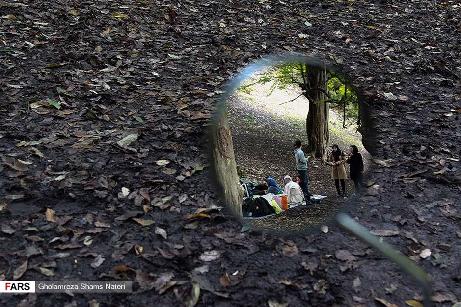 مرداب هَسَل 