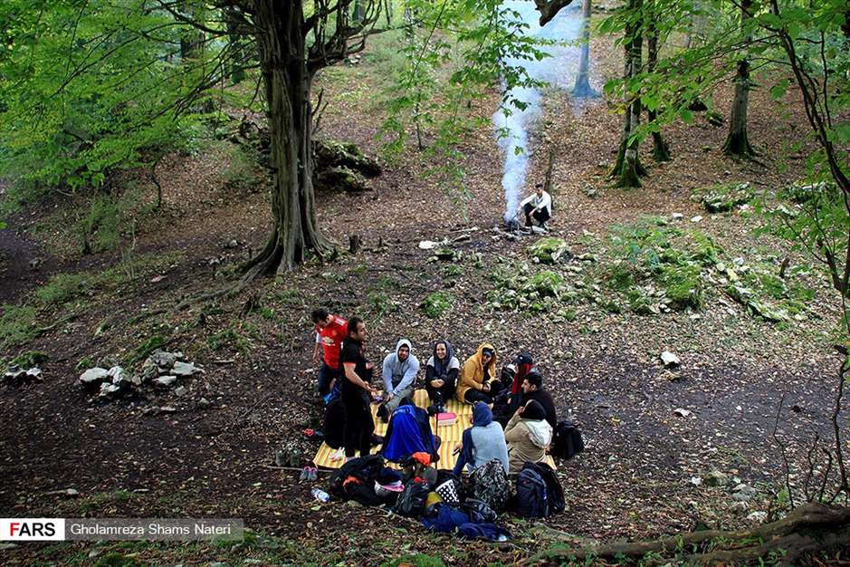 مرداب هَسَل 