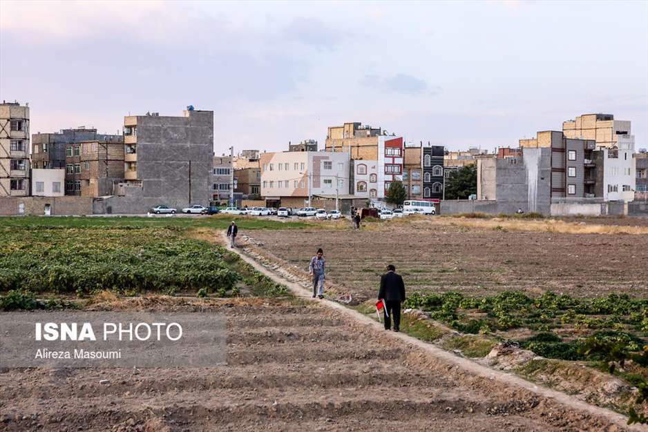 چوخه در گود