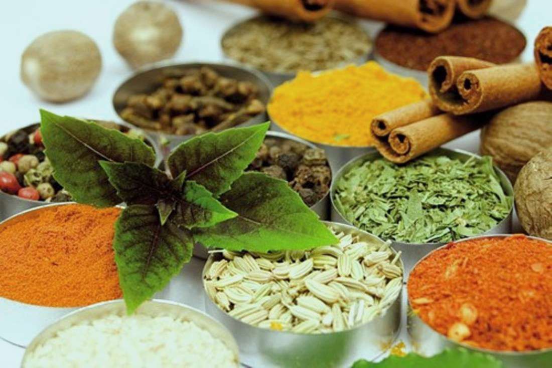 48 طرح فناورانه حوزه گیاهان دارویی رونمایی می شود 48 طرح فناورانه حوزه گیاهان دارویی رونمایی می شود