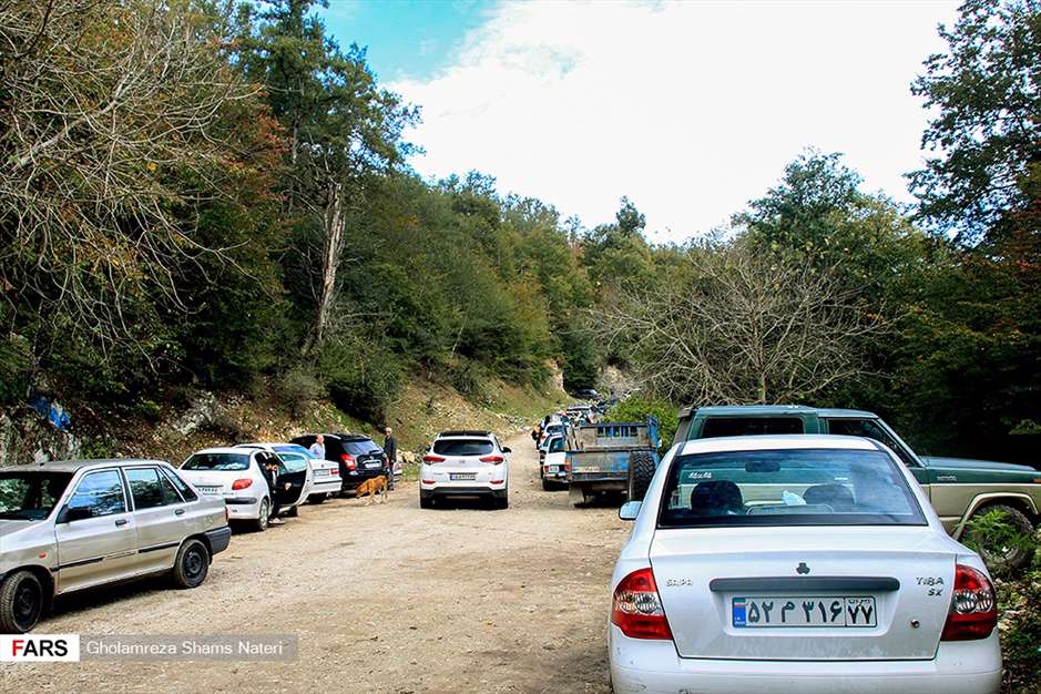 مرداب هَسَل 