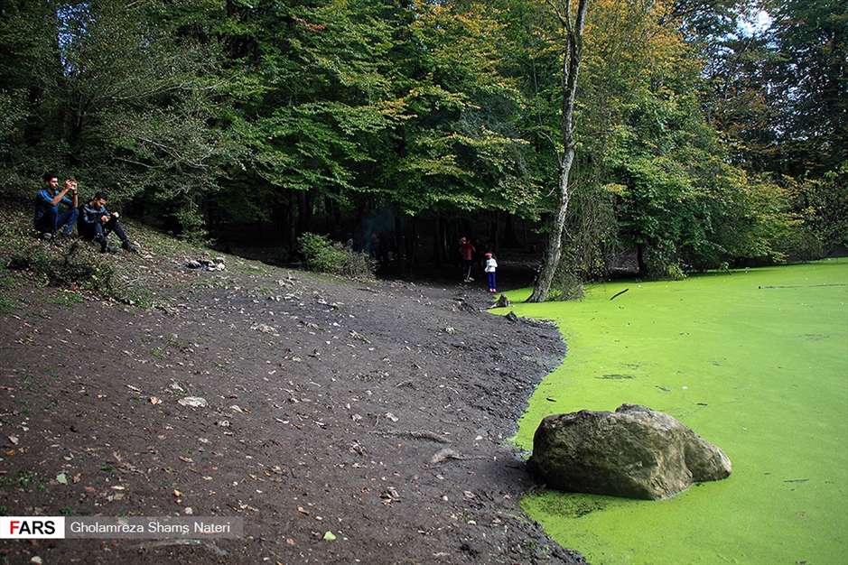 مرداب هَسَل 