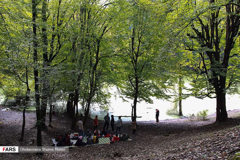 مرداب هَسَل 