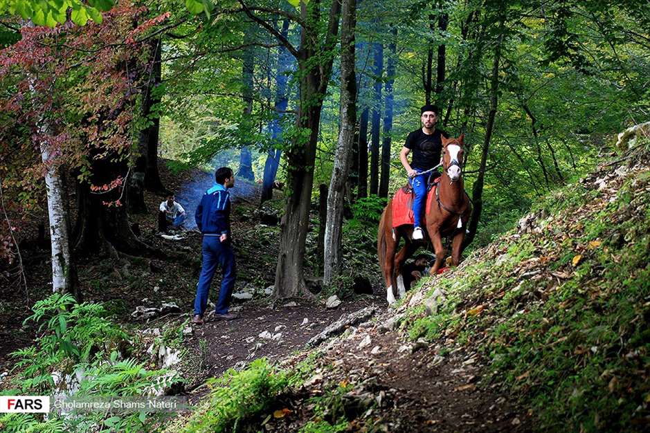 مرداب هَسَل 