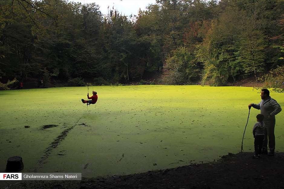 مرداب هَسَل 