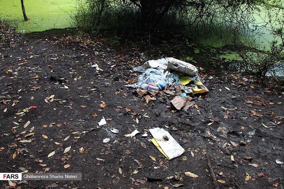 مرداب هَسَل 