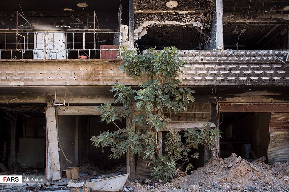 حرم حضرت سکینه(س) در "داریا"