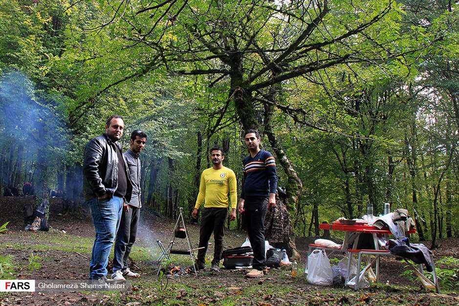 مرداب هَسَل 