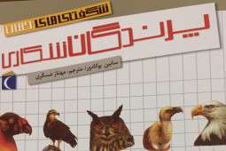 پرندگان شکاری بر فراز بازار کتاب پرندگان شکاری بر فراز بازار کتاب
