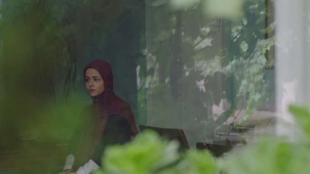 تطهیر با عشق تطهیر با عشق
