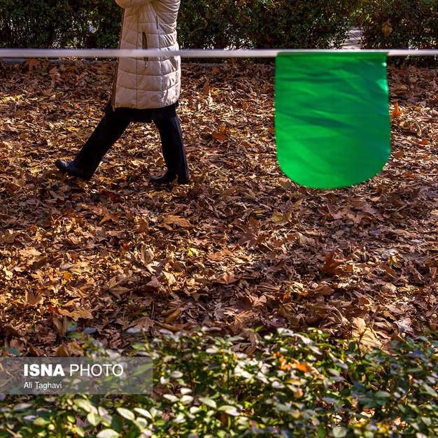 به رنگ خزان