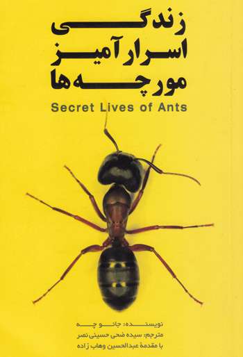 «زندگی اسرارآمیز مورچهها»