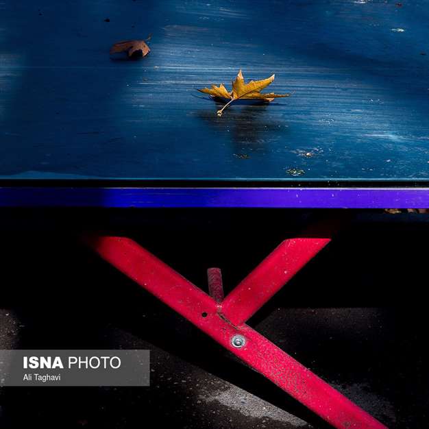 به رنگ خزان