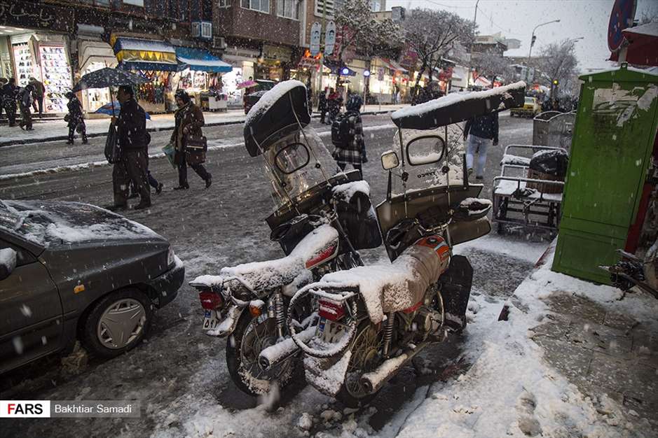 قامت سفید سنندج در واپسین روزهای پاییز