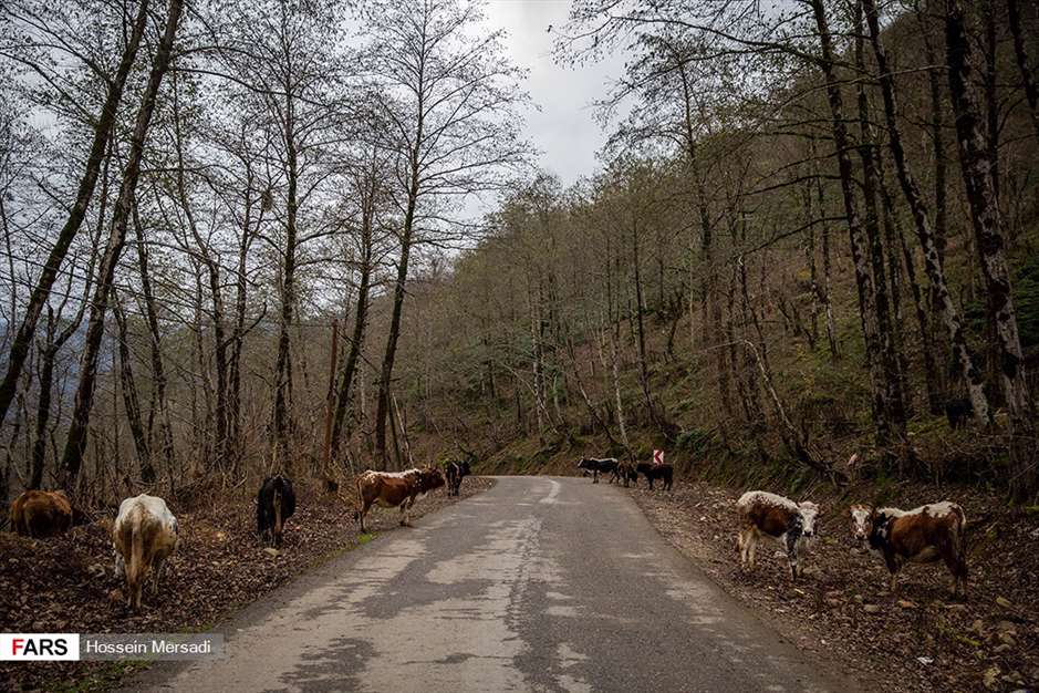 آبشار دودْوَزَن