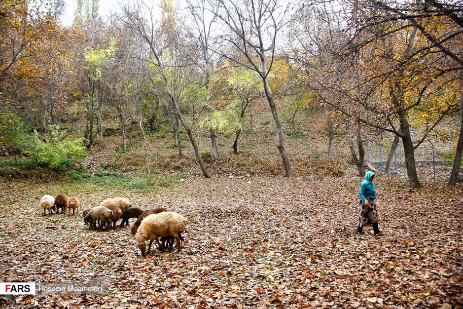 طبیعت پاییزی مهنان خراسان شمالی