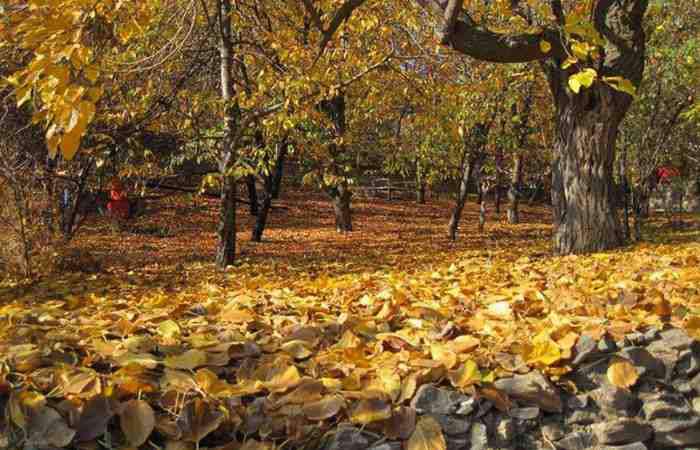 روستایی ییلاقی جاغرق