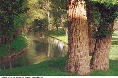 مادی فرشادی اصفهان مادی فرشادی اصفهان