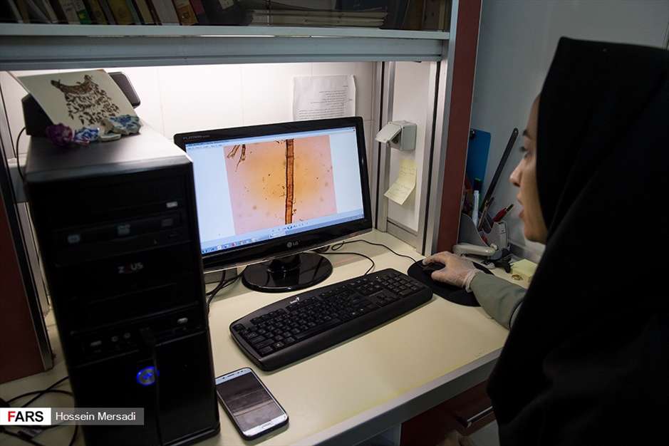 گنجینه‌ ی ۳ هزار ساله موزه ملک