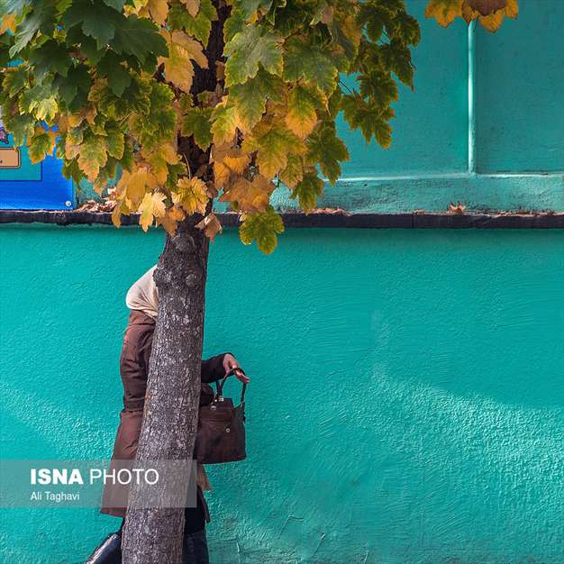 به رنگ خزان