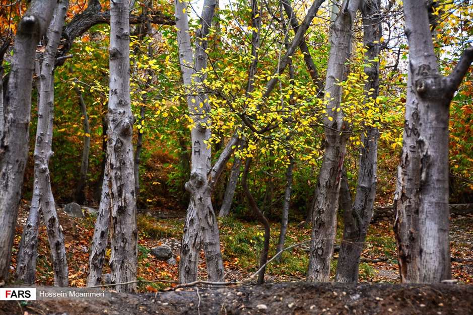 طبیعت پاییزی مهنان خراسان شمالی